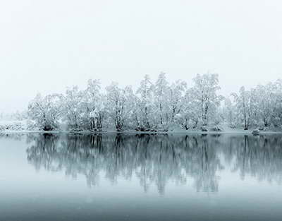Гурцкая считает, что Баринов перед голом Локомотива в матче с Зенитом нарушил правила