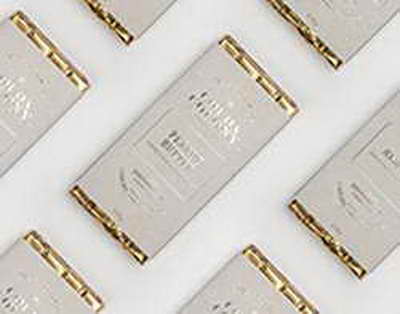 Великие Луки могут стать домом чемпионата России по стрельбе из лука