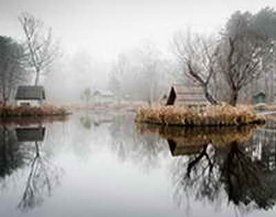 Генеалогический сервис MyHeritage объявил об уходе из России