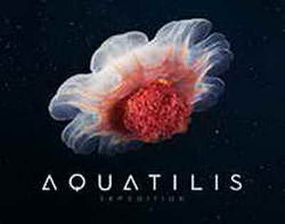 Турист из Барнаула заблудился на Семинском перевале во время похода