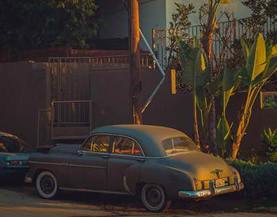 Вектор развития  импортозамещение